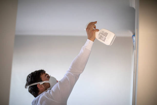  Pineville, LA Mold Removal Pros
